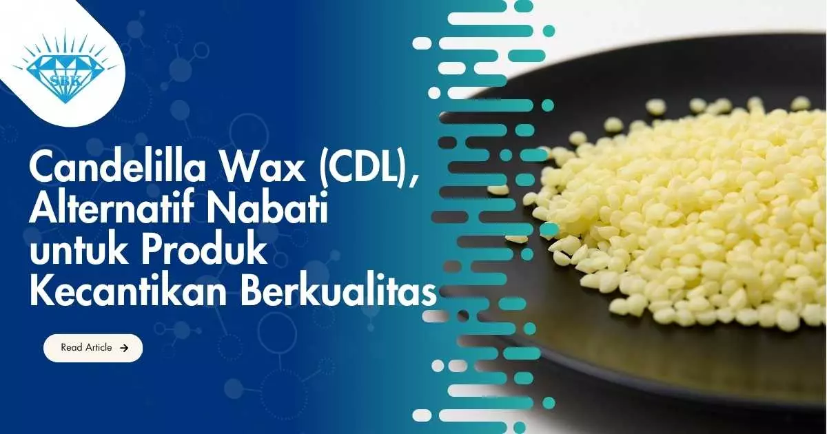 Candelilla Wax (CDL), Alternatif Nabati untuk Produk Kecantikan Berkualitas