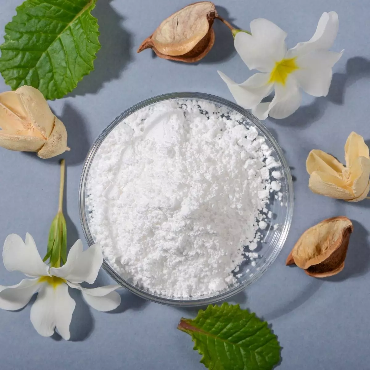 Apa Itu Allantoin?