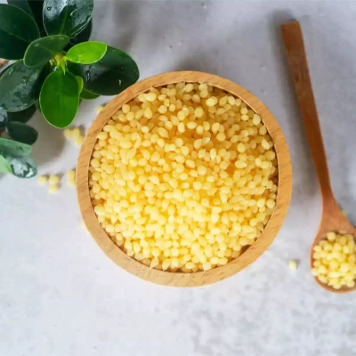 Apa Itu Candelilla Wax (CDL)?