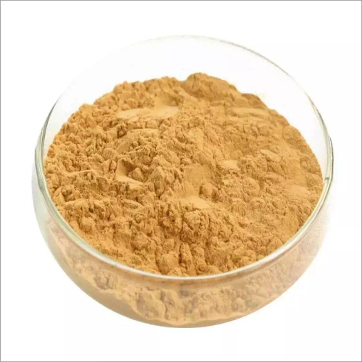 Contoh Produk Makanan yang Menggunakan Lecithin Soya