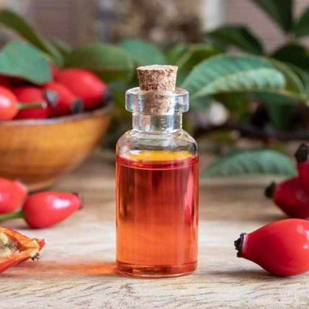 Apa Itu Rosehip Oil?