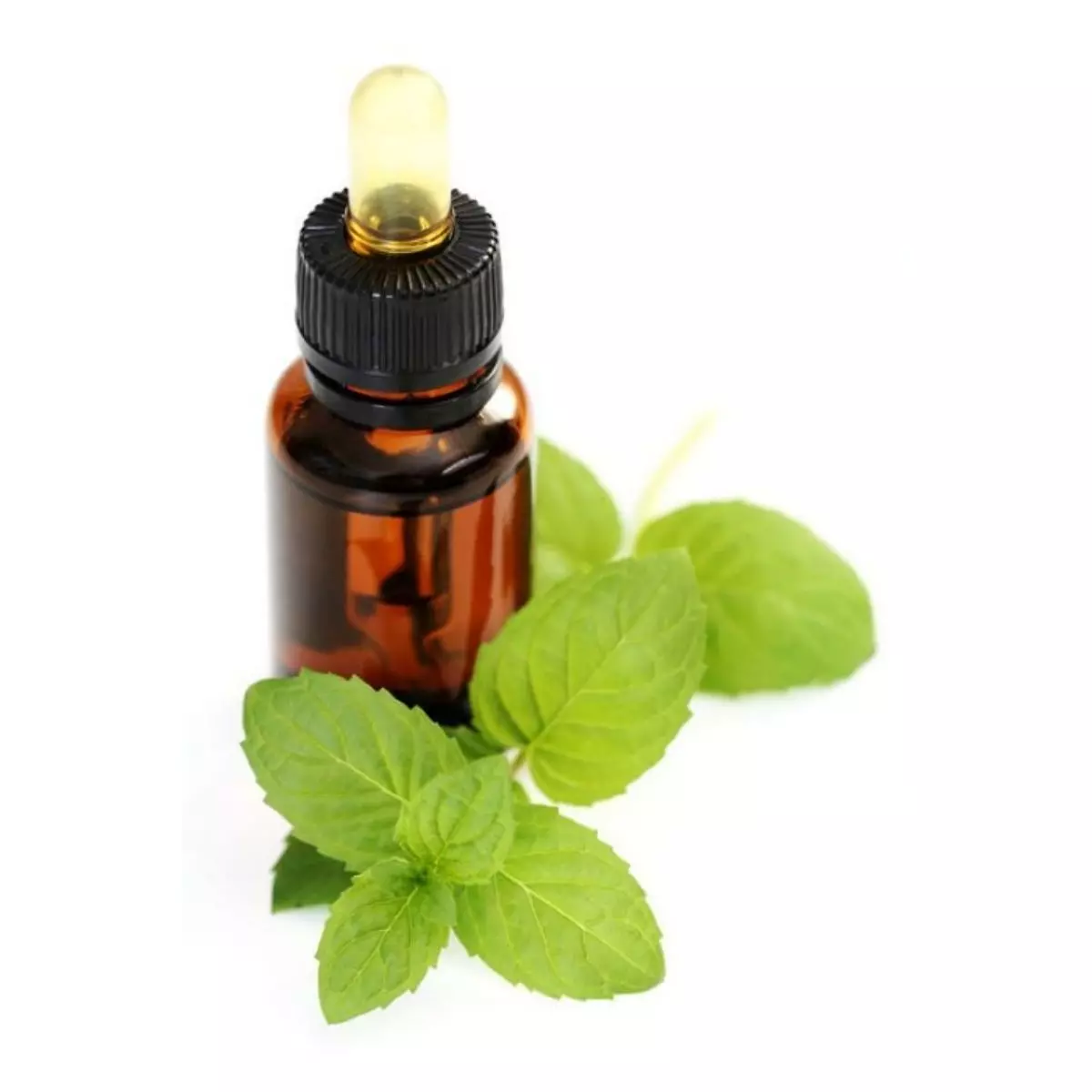 Apa Itu Peppermint Oil?